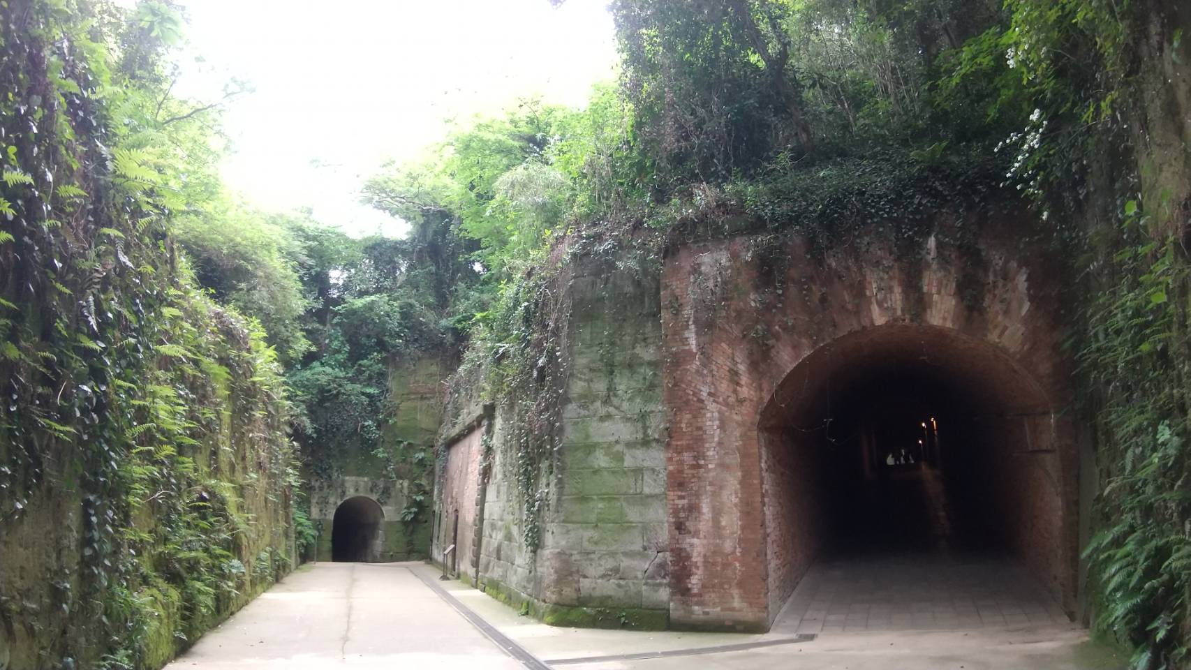 横須賀市｜無人島猿島