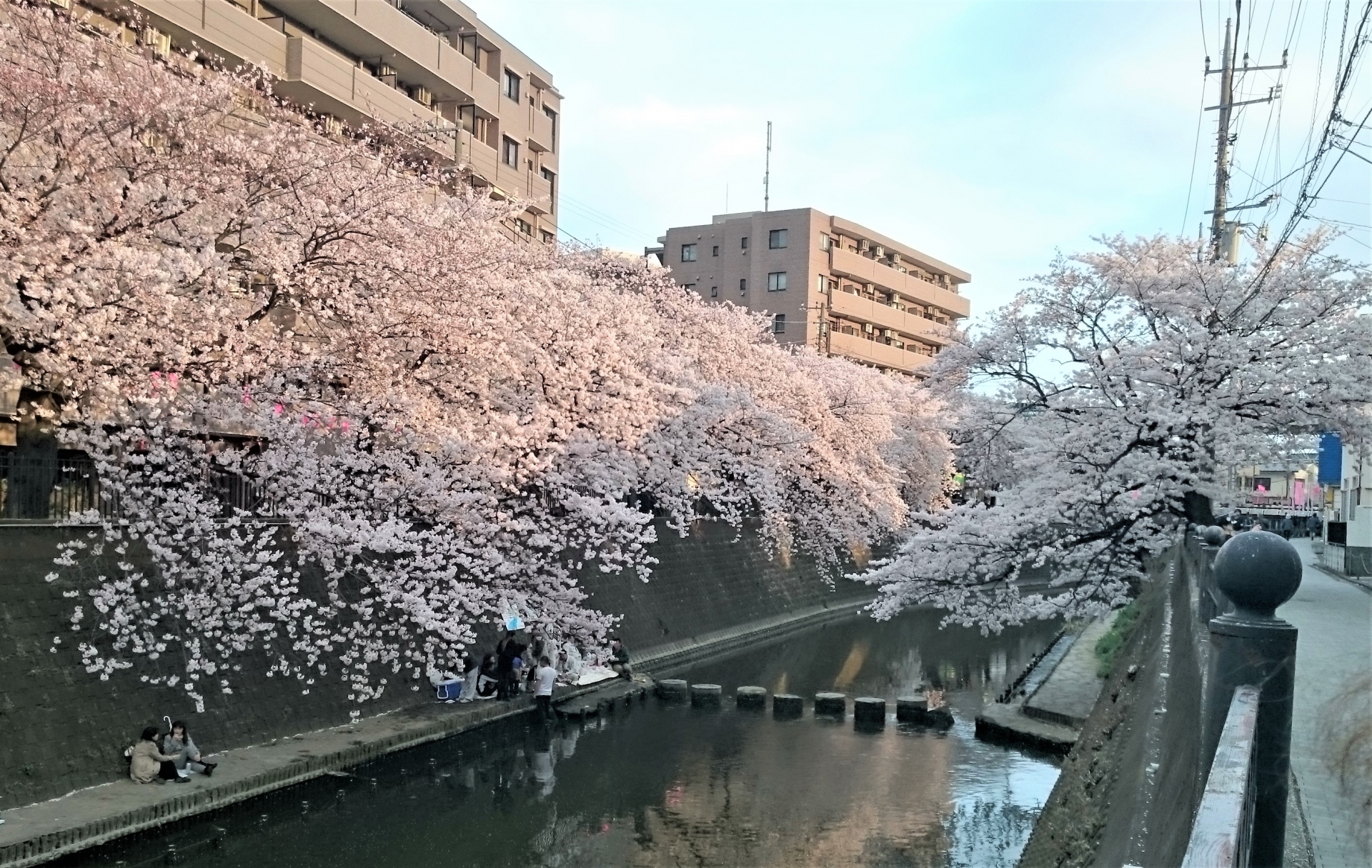 横浜市南区| 看護師の転職相談・就業支援「トリサポ」
